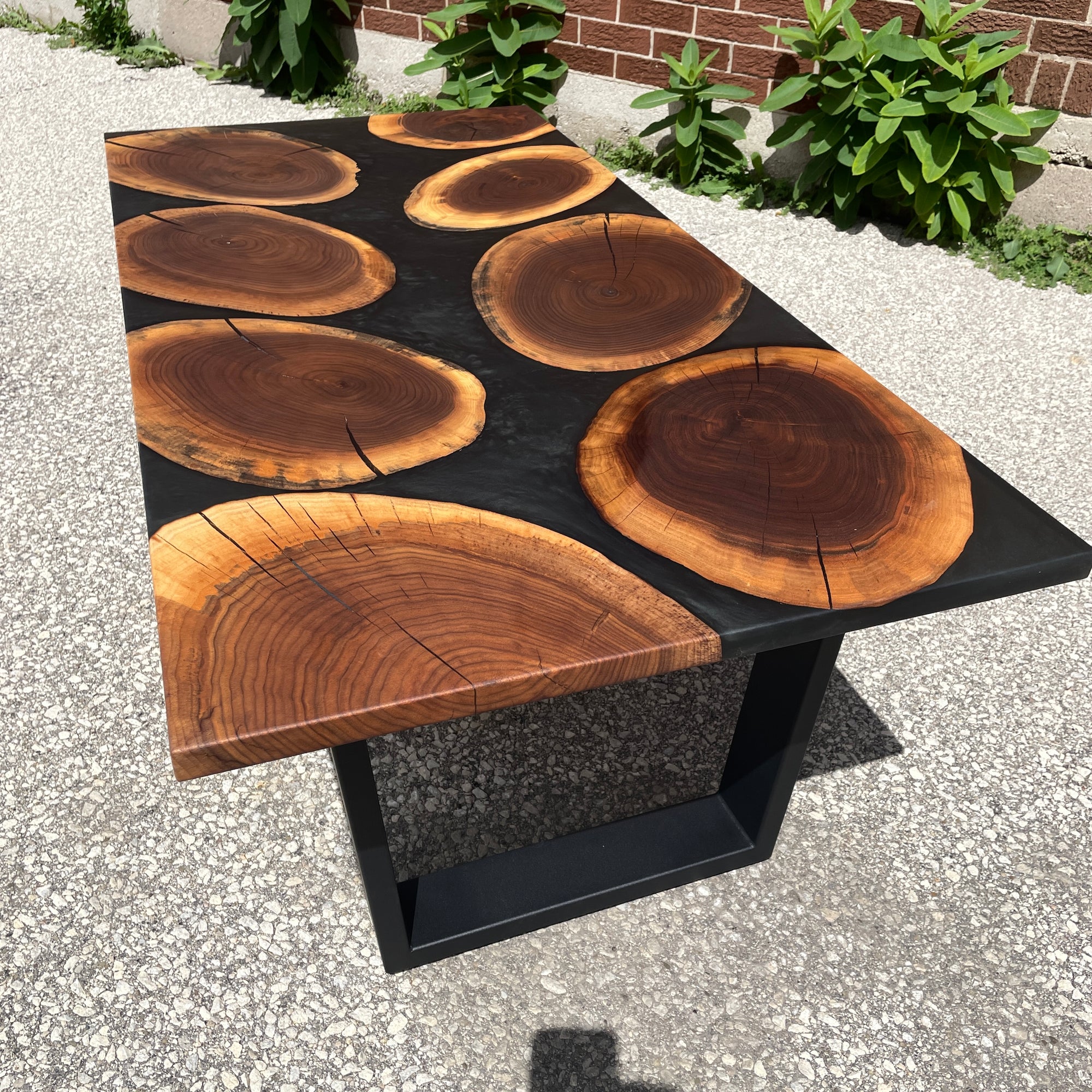 Walnut Cookie River Coffee Table