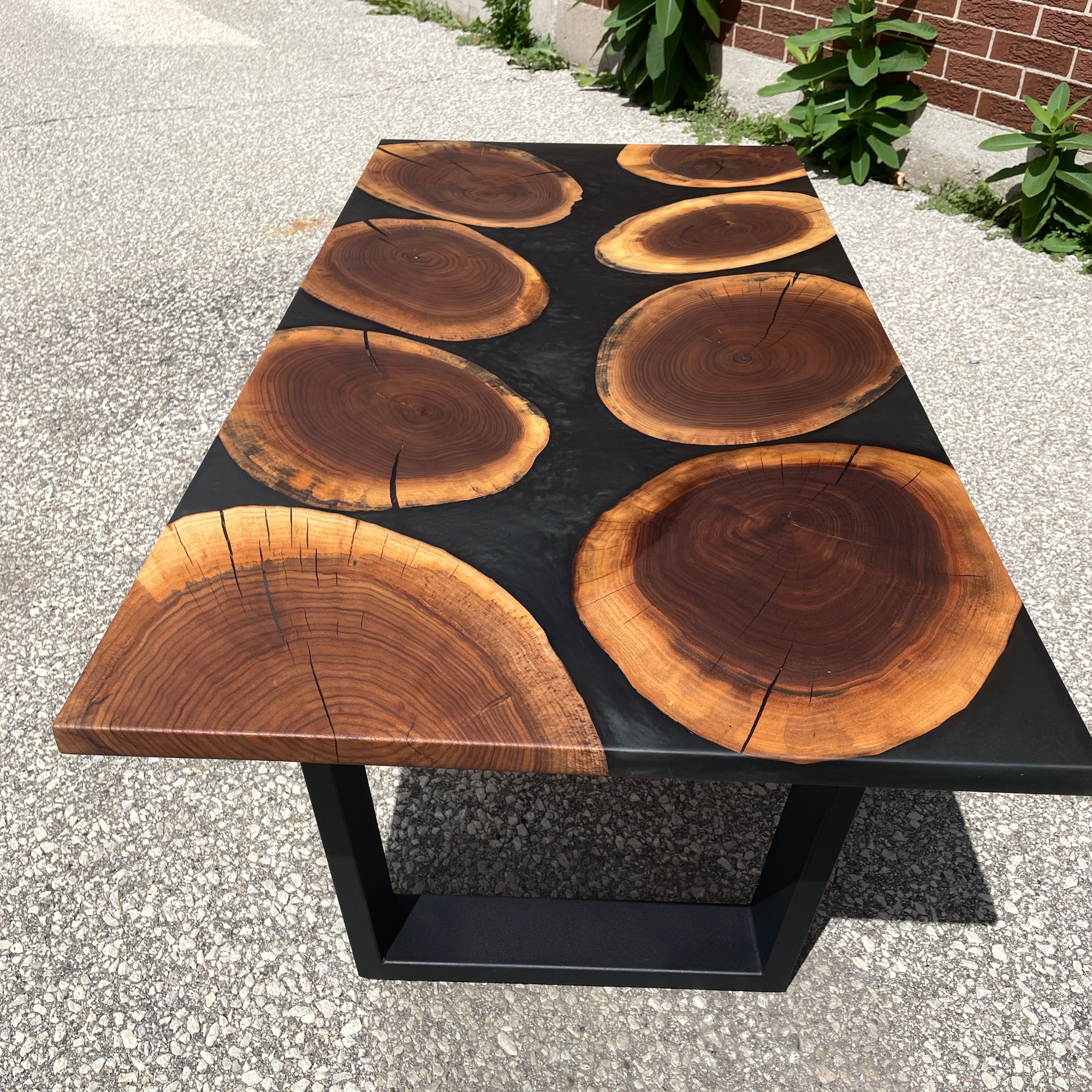 Walnut Cookie River Coffee Table